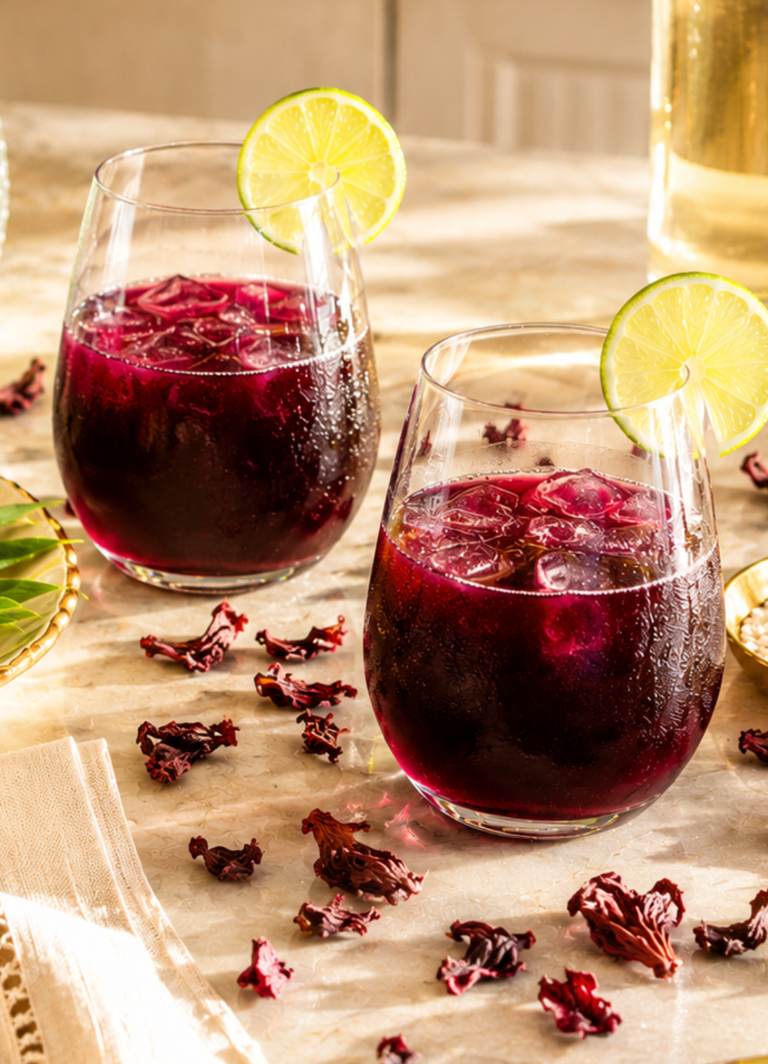 Hibiscus Margarita